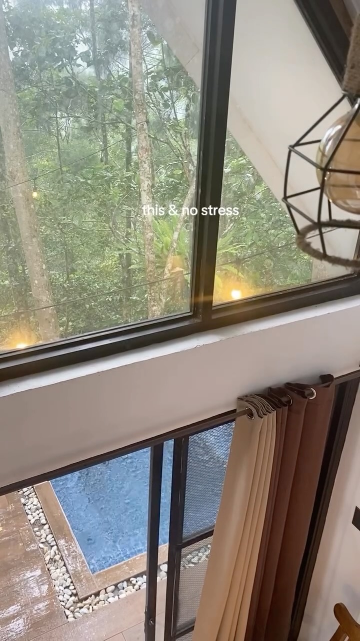 View from inside La Cabaña — glass wall facing the rainforest with plunge pool visible below